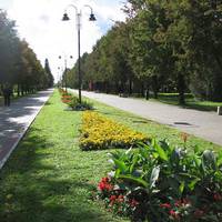 Тернополяни просять заборонити автомобільний рух по парку Національного відродження