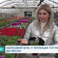 «Квітковий рай»: як у Тернополі вирощують унікальні сорти квітів (Відео)
