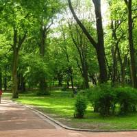 На вулиці Живова облаштують новий сквер