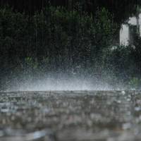Прийдуть дощі, які накриють майже всю Україну, – синоптик про погоду