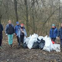 Тернополян кличуть прибирати Кутківецький ліс. ФОТО