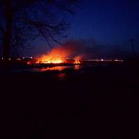 Вогонь вище дерев. Очевидці про масштабну пожежу за Тернопільським ставом