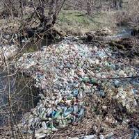 Пляшками вкрилася річка Стрипа, яка протікає через Тернопілля (фотофакт)