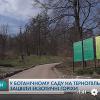 На Тернопільщині є «казковий» ботанічний сад, у якому ростуть унікальні екзотичні дерева й рослини