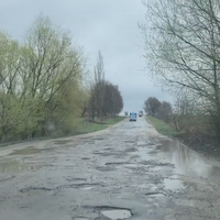 У мережі зявилося відео жалюгідного стану дороги, яка прямує до Гусятина, Тернопільської області (17.04.2019)