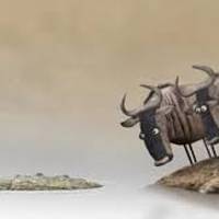 Філософський мультик: Чому не варто сперечатися з дурнями