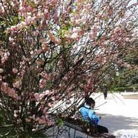 Тепло йде на Тернопільщину, – попереджають метеорологи