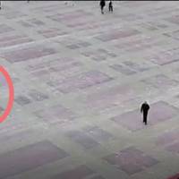 Впізнай рагуля: тернополян просять поширювати відео, аби знайти вандала, який розбив декоративне яйце (ВІДЕО)