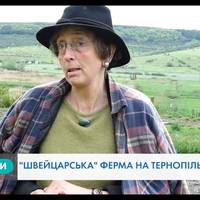 Швейцарка на Тернопільщині вирощує органічні продукти за особливим рецептом