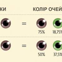 Якою буде ваша майбутня дитина?