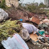 «Це зробили люди, які ненавидять нашу землю» – на Тернопільщині від сміття немає спасу