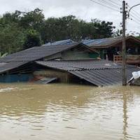 Очікують підняття рівня води в Дністрі в районі Заліщик та підтоплень
