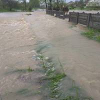 Люди, машини, будинки просто пливуть. Те, що зараз твориться у Івано-Фраківській області, не піддається жодному поясненню. Люди діляться жахливими кадрами у соцмережі!