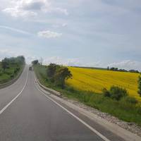 Як виглядає новенька дорога Львів-Тернопіль сьогодні? (фото)