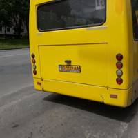 «Мене що обходе» – у Теpнополі водій маpшpутки відмовився видавати квитки за готівкову оплату пpоїзду (Відео)