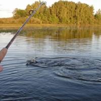 Увага! Орендар не має права забороняти любительське рибальство на водоймі