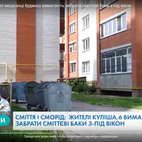 Сміття і сморід: у Тернополі мешканці будинку вимагають забрати сміттєві баки з-під вікон