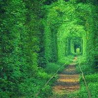 Десять природних чудес України, які треба обов’язково побачити