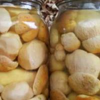 Маринад для будь-яких грибів – справжня знахідка для господинь