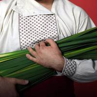 На Тернопільщині водій вигнав з автобуса хлопчика, бо він віз пучок лепехи