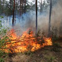 На Тернопільщині оголосили надзвичайну пожежну небезпеку 5-го класу