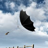 Очікуються сильні вітри – на Тернопільщині оголосили про небезпеку