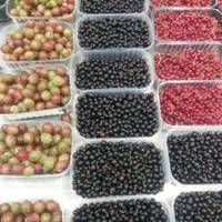 Ціни на фрукти і ягоди на тернопільських ринках кусаються