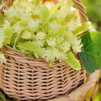 4 липня – яке сьогодні свято і що не можна робити в цей день