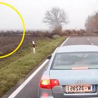 Cім’я просто їхала додому, як раптом з нізвідки на безлюдній дорозі виникло щось жахливе, вони не забудуть цей день ніколи(ВІДЕО)