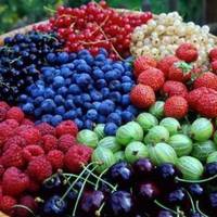 Ягоди життя. Топ-7 найкорисніших ягід сезону. Рейтинг для здоров'я від фахівця