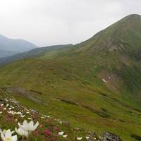 Рекорди України, які були встановлені на Говерлі, тернополянка готує новий рекорд на вершині