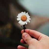 “Як мало потрібно Людині…”: Вірш, від якого сльози на очах та мурашки по шкірі