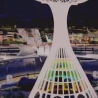 На облаштування нового парку в Тернополі може піти кілька років. ВІДЕО