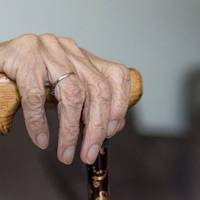 В Кременці пенсіонерка сапою вбила сусідське цуценя