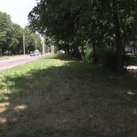 Чому на вулиці Київській не може бути розміщена громадська еко-парковка