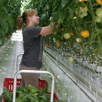 “Чому в Італії 100 євро я проїдаю за два тижні, а в Україні – за два дні», – думки жителів Тернопільщини про заробітки