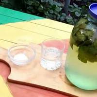 Домашнє “шампанське” з листя чорної смородини! Сусіди будуть випрошувати у вас цей рецепт