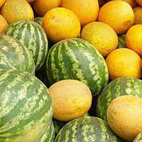 У Тернополі на ринках великий вибір кавунів і динь. Огляд цін