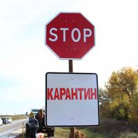 У селищі Велика Березовиця – спалах африканської чуми свиней. Ввели карантин (відео)