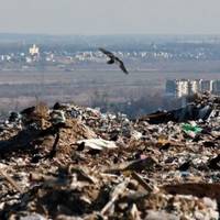 На Малашовецькому полігоні облаштують сучасний сміттєсортувальний комплекс