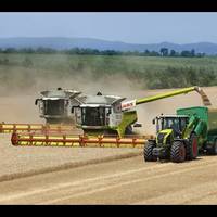 Арабські власники “Мрії” націлилися купити ще один агрохолдинг