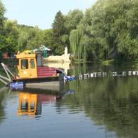 Невдовзі розпочнуть очищати озерце навколо “Козацького острова” у парку “Топільче”. ВІДЕО