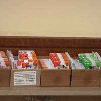 Переселенці, які мають право безоплатного проїду, зможуть безкоштовно отримати “Соціальну карту тернополянина”