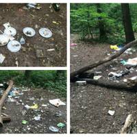 Флешмоб, який має підтримати кожен: тернополянин придумав невеличку екологічну акцію #прибери_за_лосями. ВІДЕО