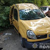 На Тернопільщині водійка перевернула автівку