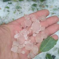 На Тернопільщині випав величезний град, розміром з кришку від води (фото)