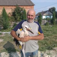 На Тернопільщині біля церкви чоловіки рятували чорно-білого красеня (фотофакт)