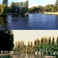 Яким у минулому столітті було відоме озерце «Чайка» у Тернополі? (фотофакт)