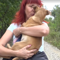 Біля Тернополя маленьких тварин замотали в коробку та викинули помирати