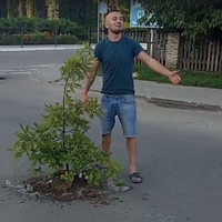 В місті на Тернопільщині на асфальті посадили дуб (Відео)